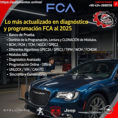 curso ford 2